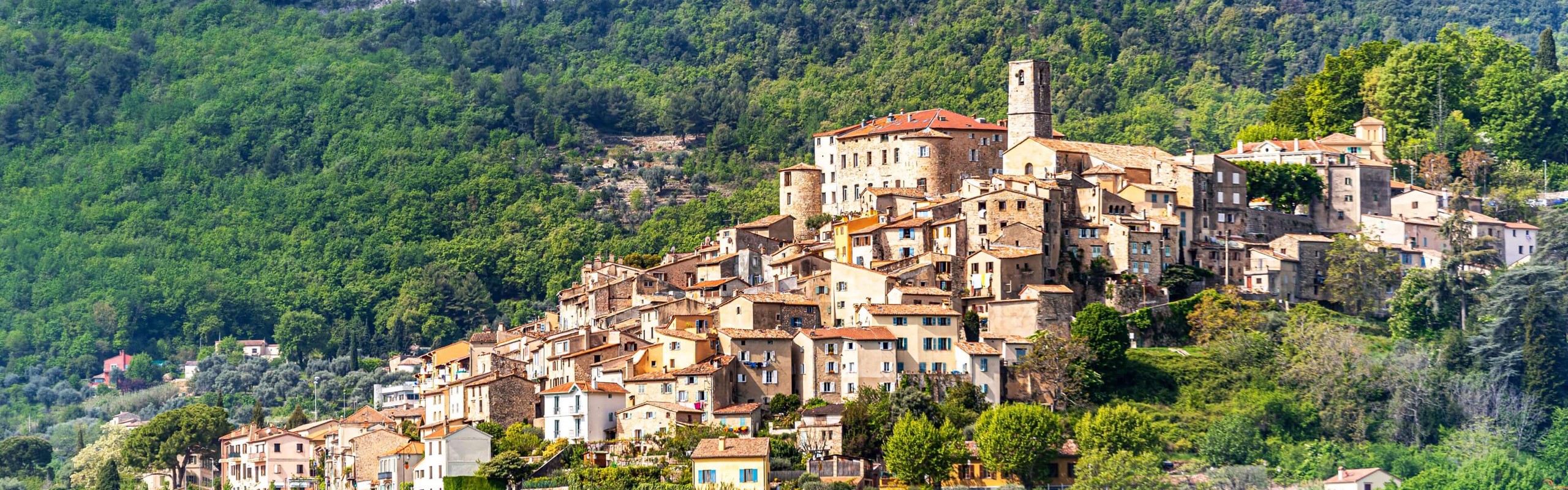 Le Bar sur Loup