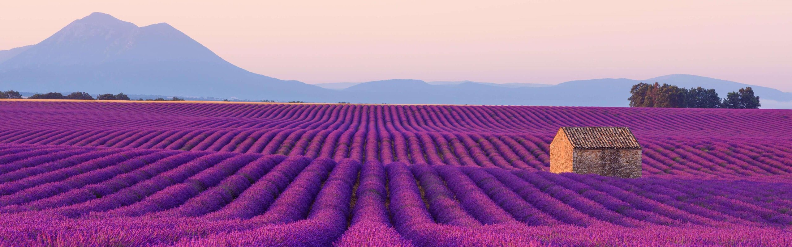 Provence2