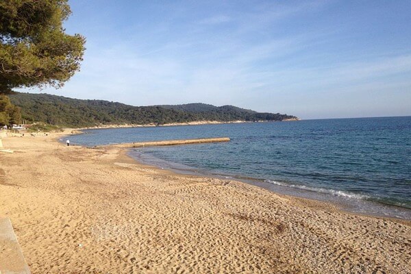 Villa Bird of Paradise