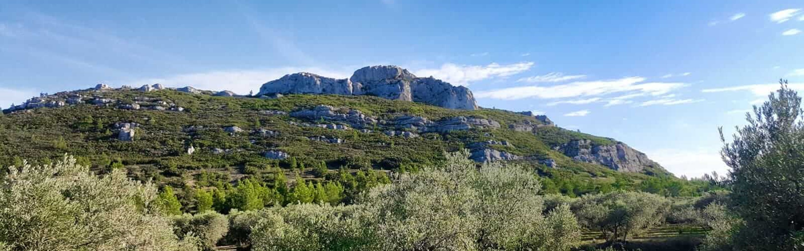 Les Alpilles 2