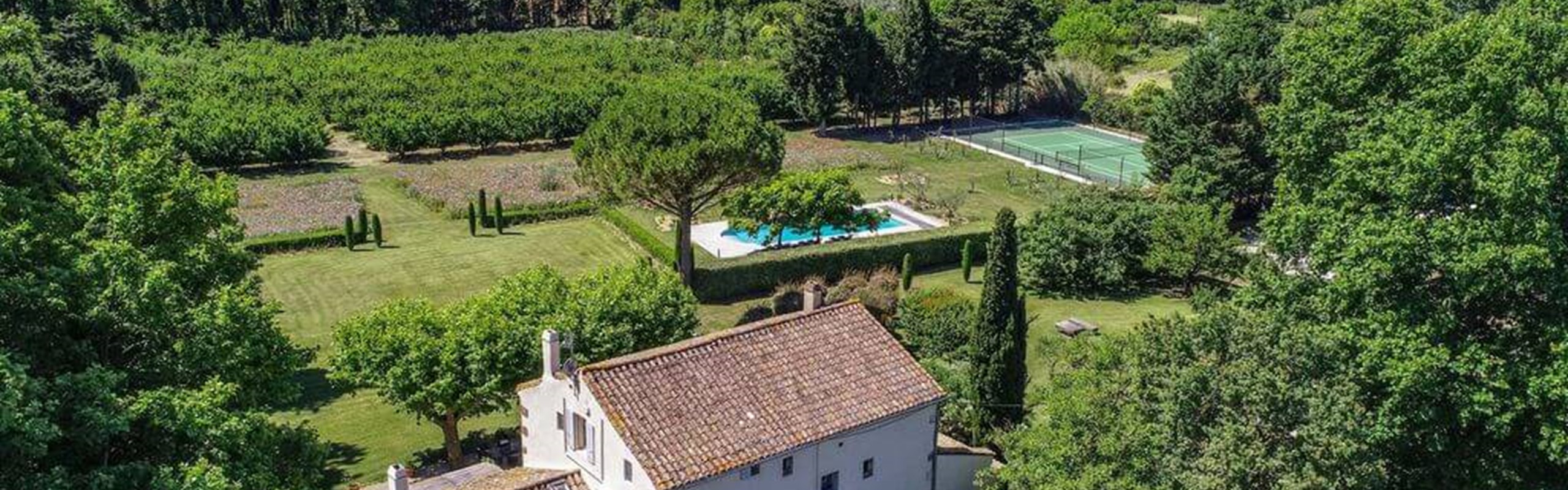 Saint Andiol Platanes