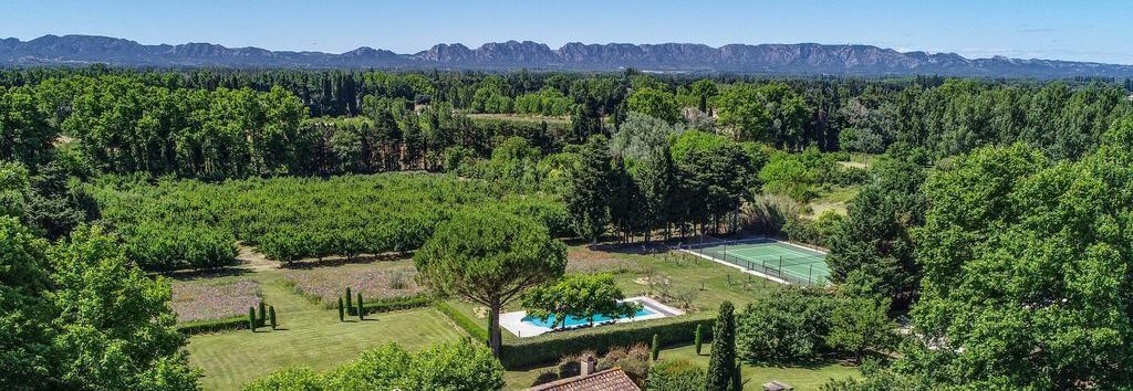 Saint Andiol Platanes View