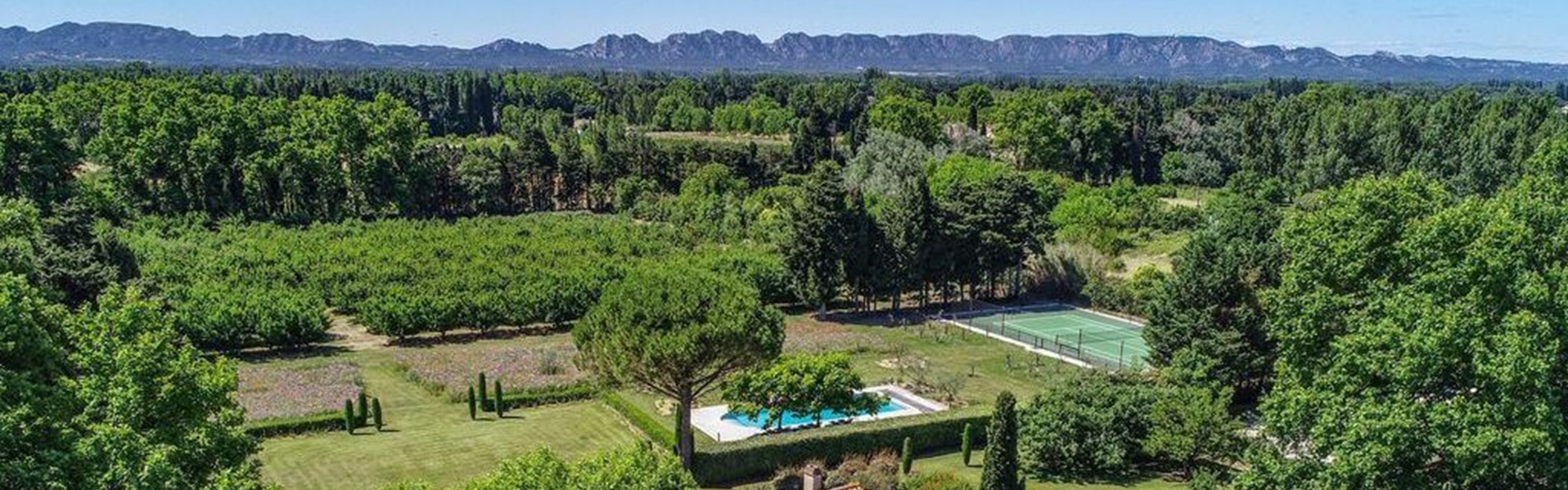 Saint Andiol Platanes View