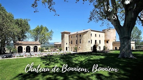 Chateau De Bonnieux Bonnieux