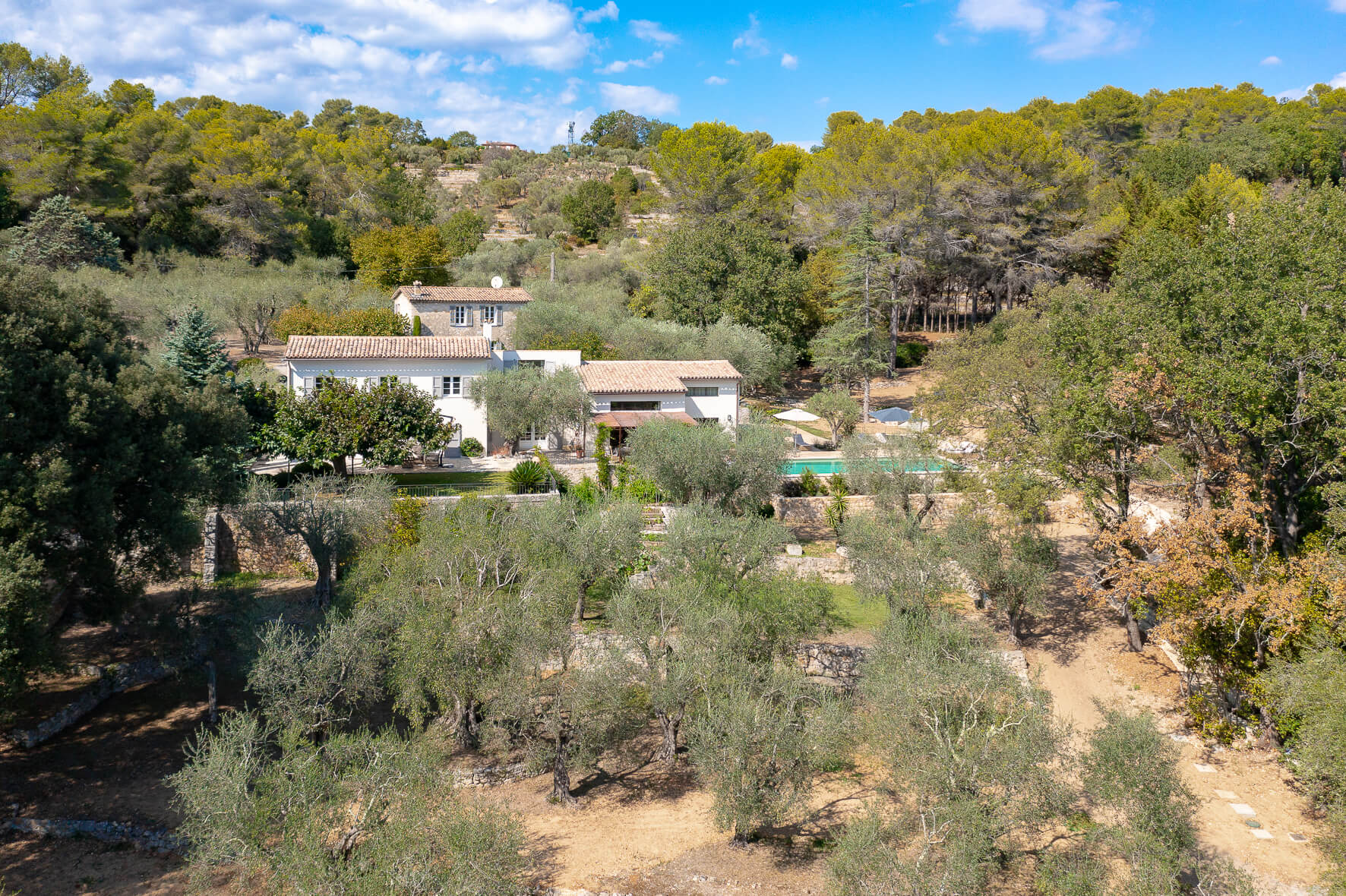 Bastide des Oliviers