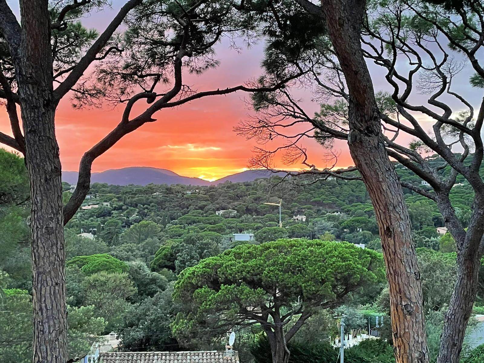 Whatsapp Image 2025 11 20 At 104102 74D9d82a