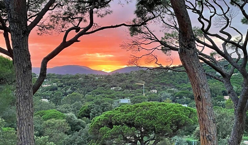 Whatsapp Image 2025 11 20 At 104102 74D9d82a