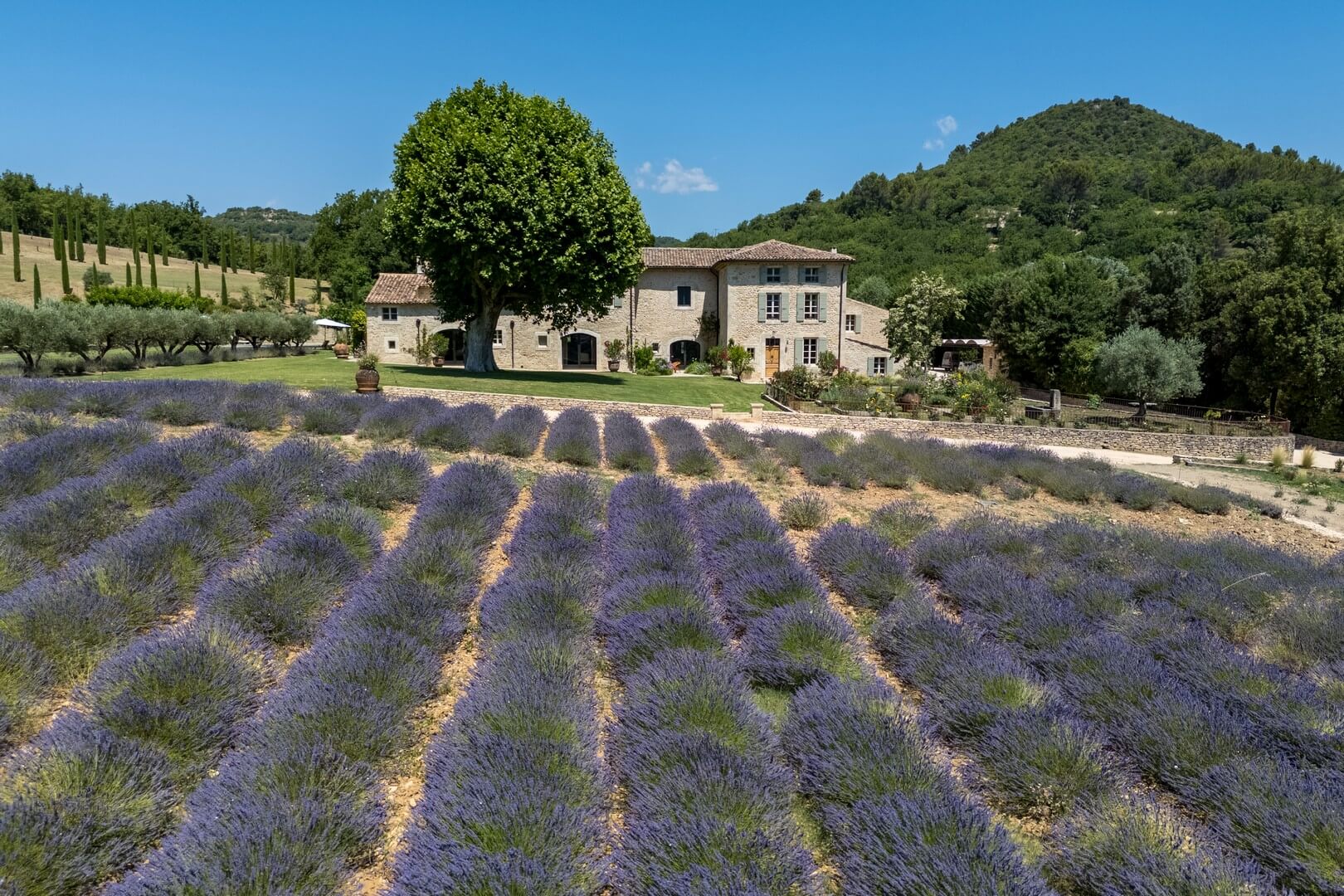 Bastide de Castillon