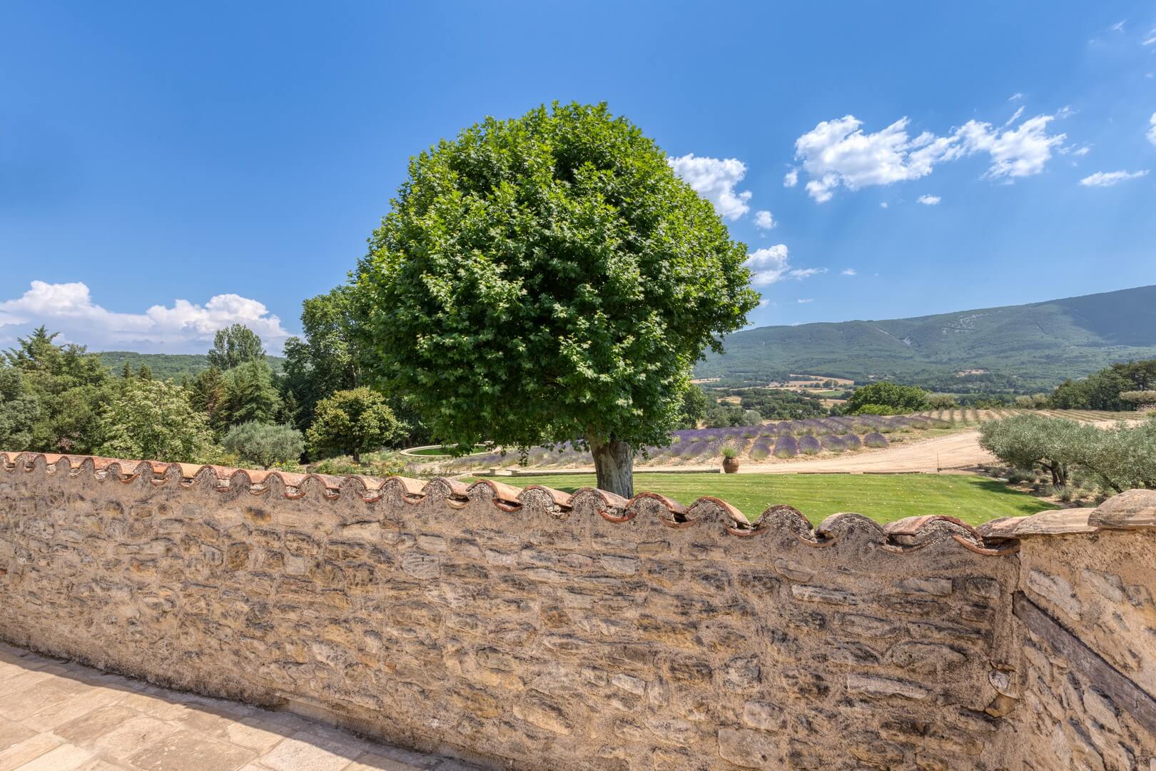 Bastide de Castillon