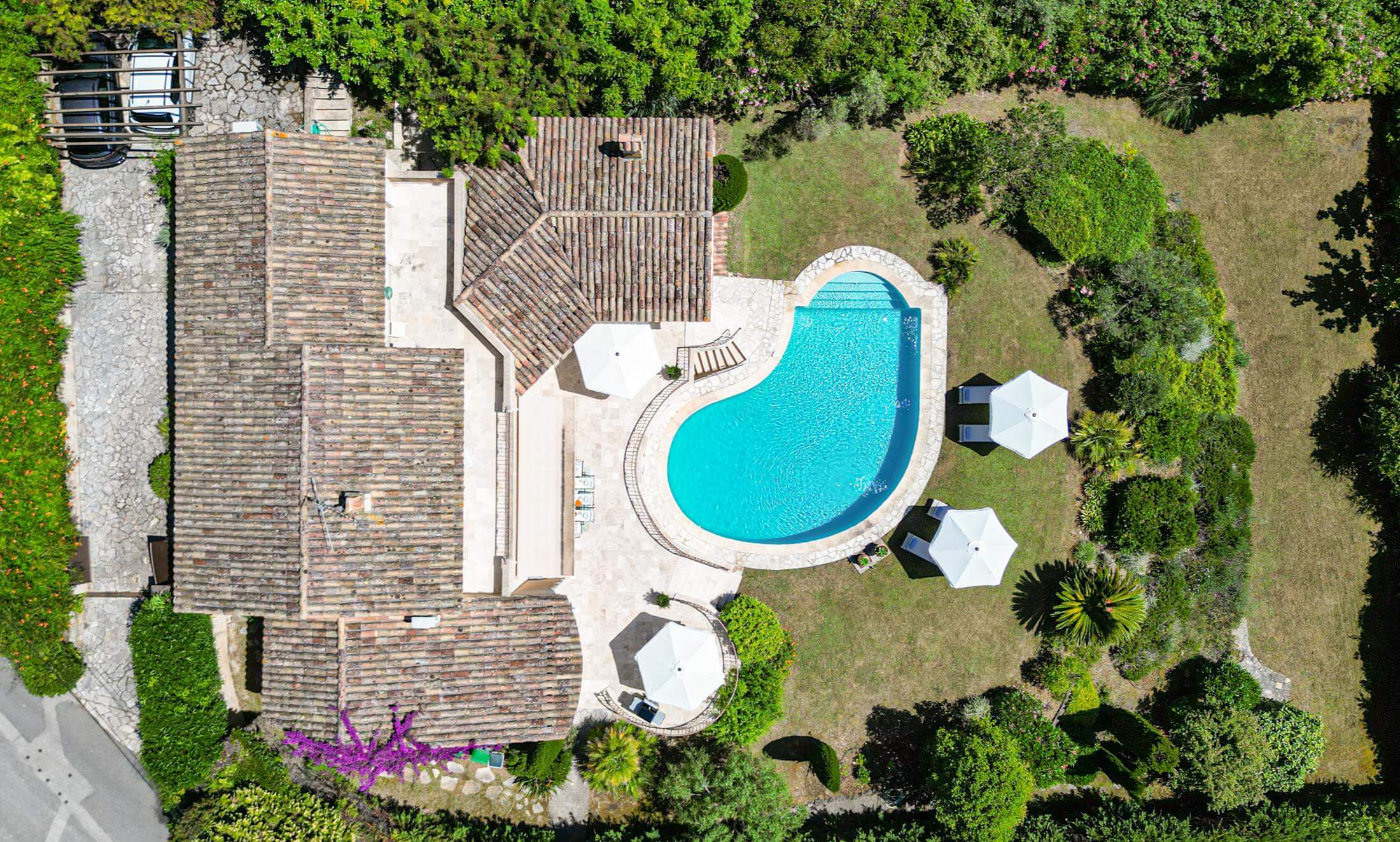 Villa Rose de Mai